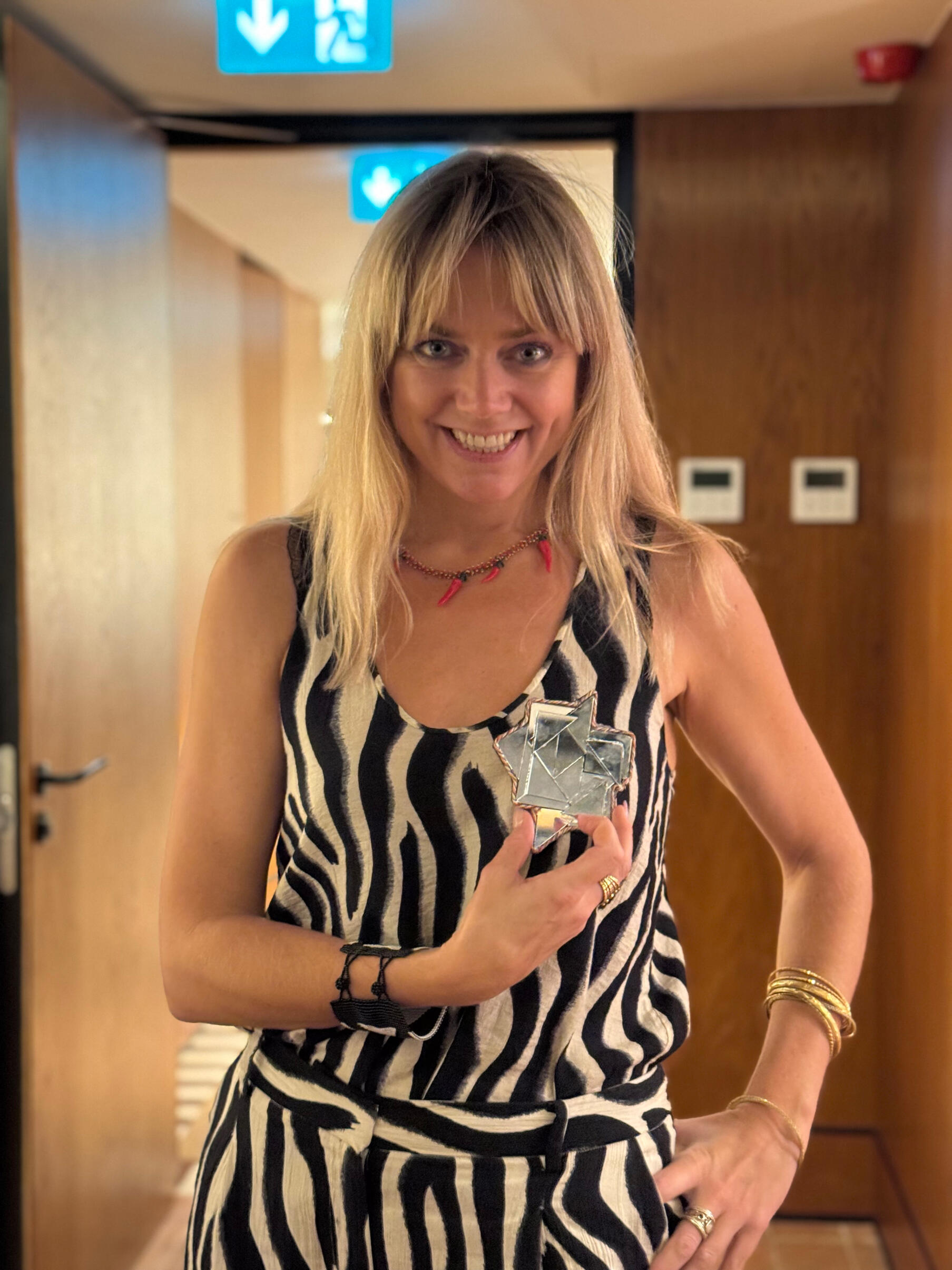 About Aine-Kari an ancient persian art